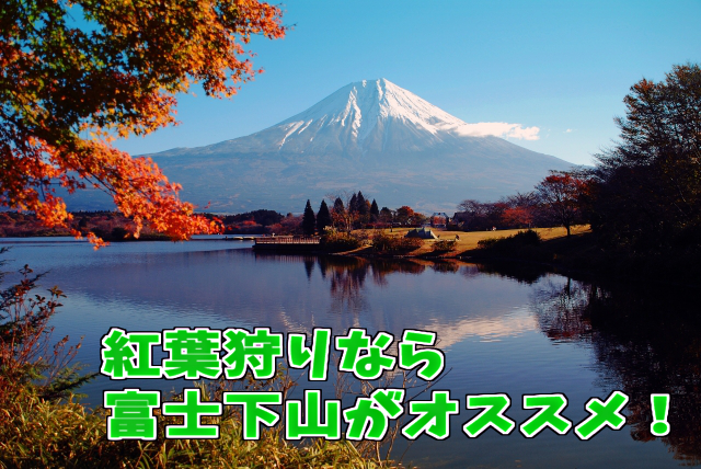 紅葉狩りなら富士下山がオススメ！