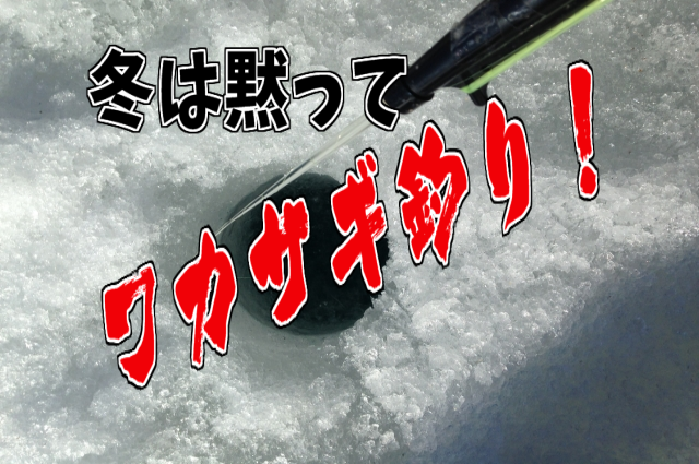 冬は黙ってワカザギ釣り！