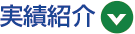 実績紹介
